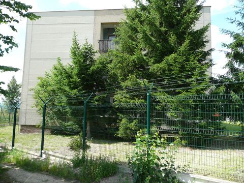 Foto 41